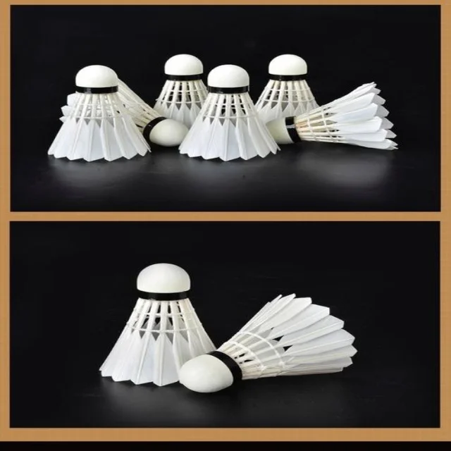 深入解析体育资讯与赛事分析的独特魅力